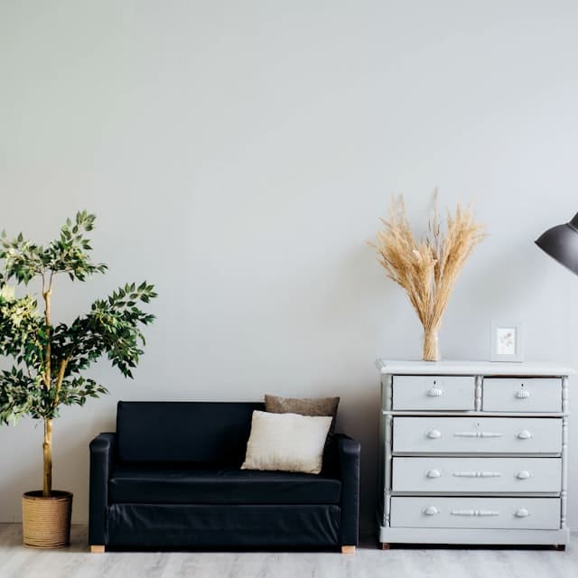A simple room with a plant and dresser